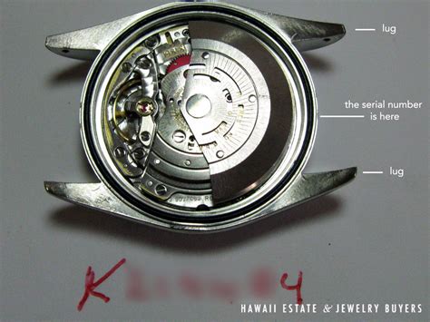 y serial rolex|Rolex serial number by year.